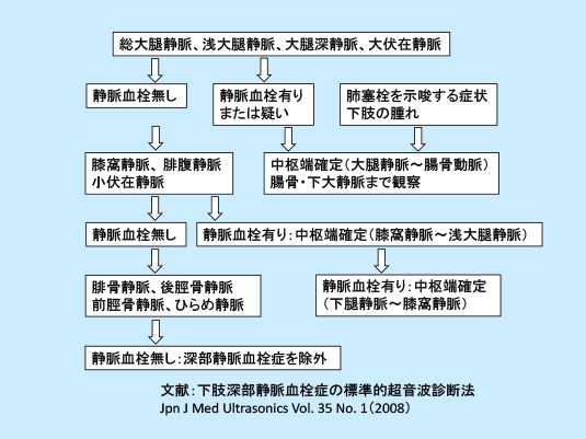 Chapter 1 下肢静脈検査の手順と所見