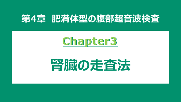 chapter3 腎臓の走査法