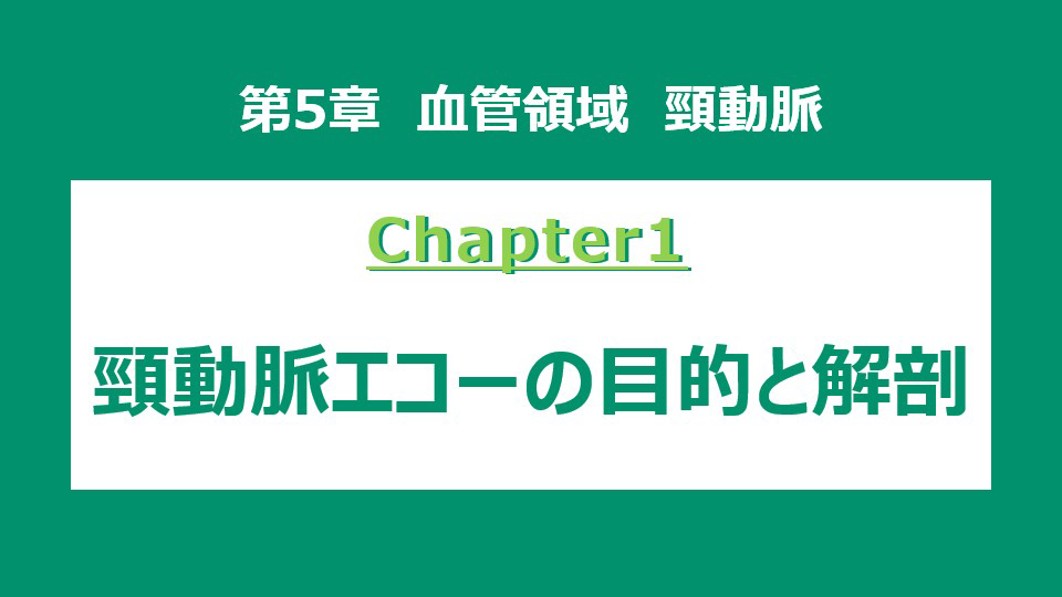 chapter1 頸動脈エコーの目的と解剖
