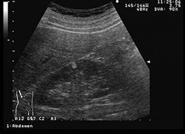 見通しはどうですか?